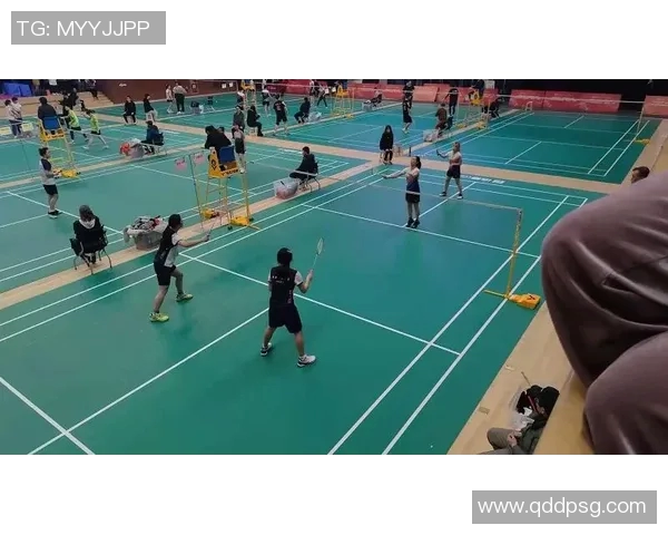 成都羽毛球队近期状态深度对比分析及未来发展趋势探讨