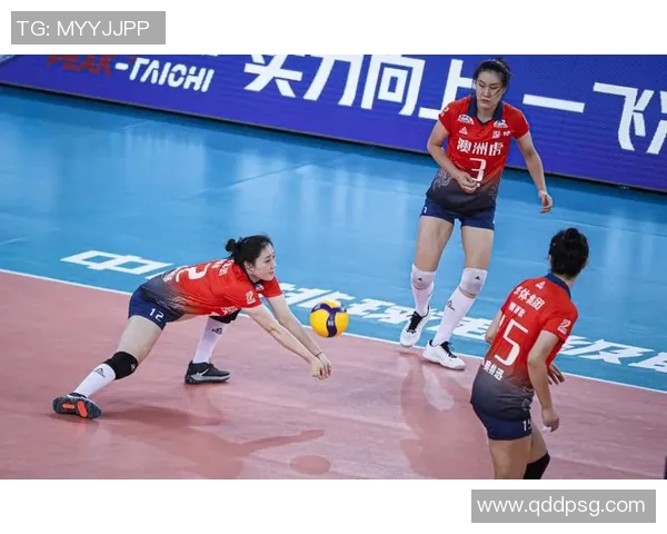 数据分析:深圳排球队的实力表现