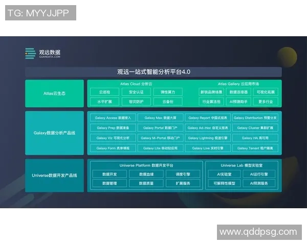 独家分析:重庆羽毛球队的团队协作对比