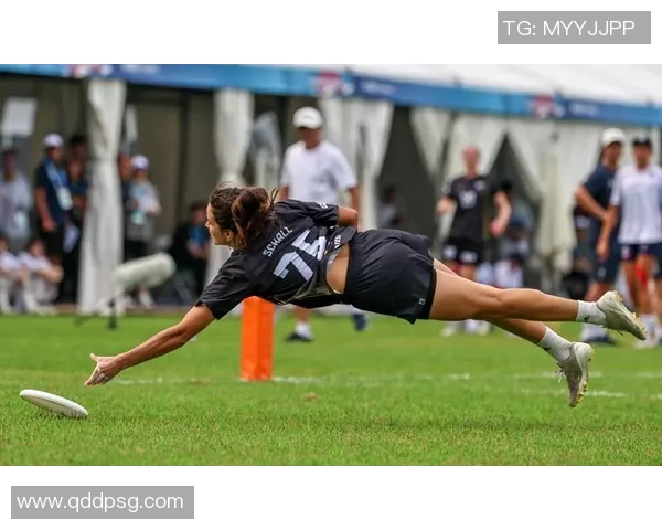 飞盘专题：聚焦成都飞盘队的力量